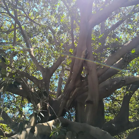 Appartamento Naima House